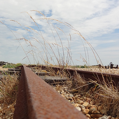 Dungeness