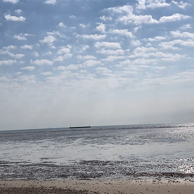 Tide
