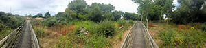 New Romney Nature Reserve